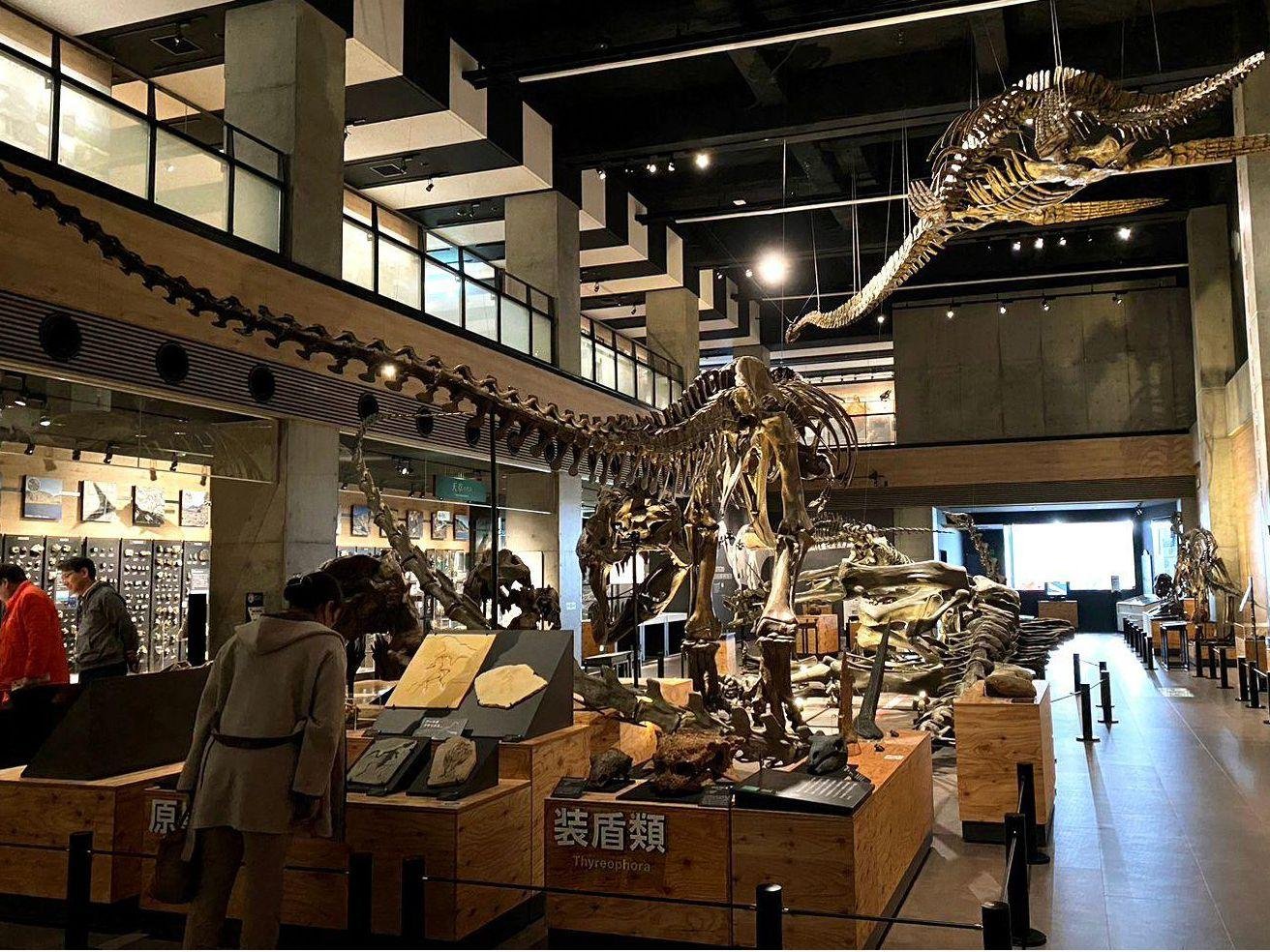 🦕 고쇼우라 공룡의 섬 박물관(고쇼우라 쿄류노시마 하쿠부츠칸) 이미지 1